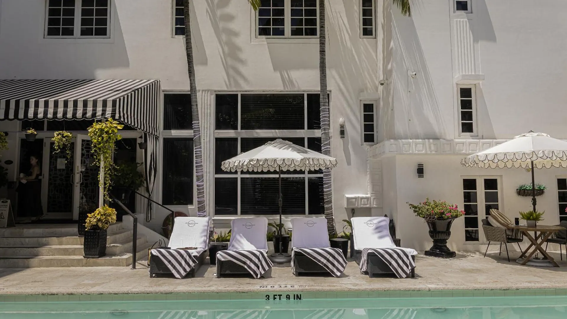 8 Hôtels au Design Saisissant près du Pérez Art Museum Miami